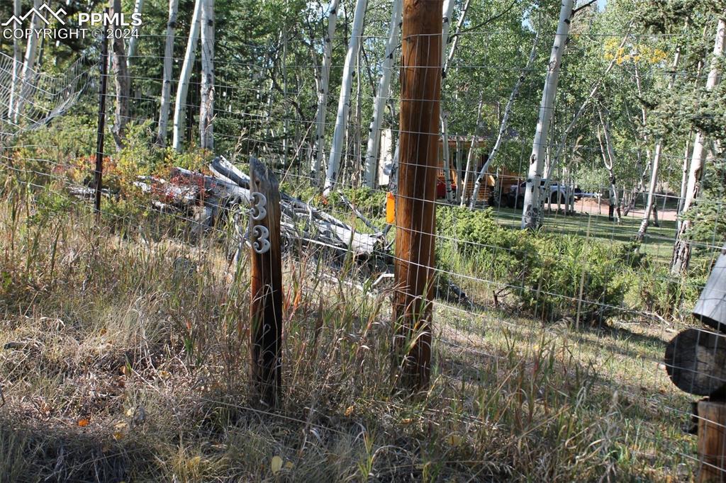 54 Elkhorn Ln., Florissant, CO 80816