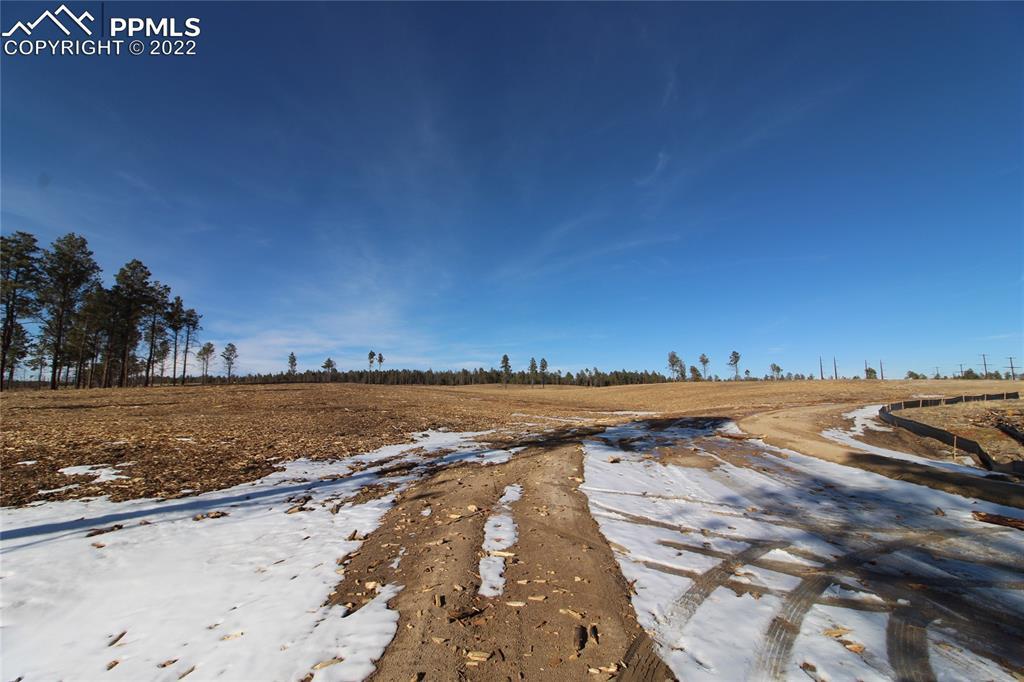 12803 Calm Breeze Point, Colorado Springs, CO 80908