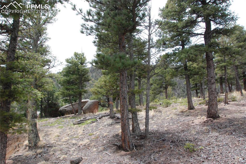 16965 Winchester Rd., Colorado Springs, CO 80908