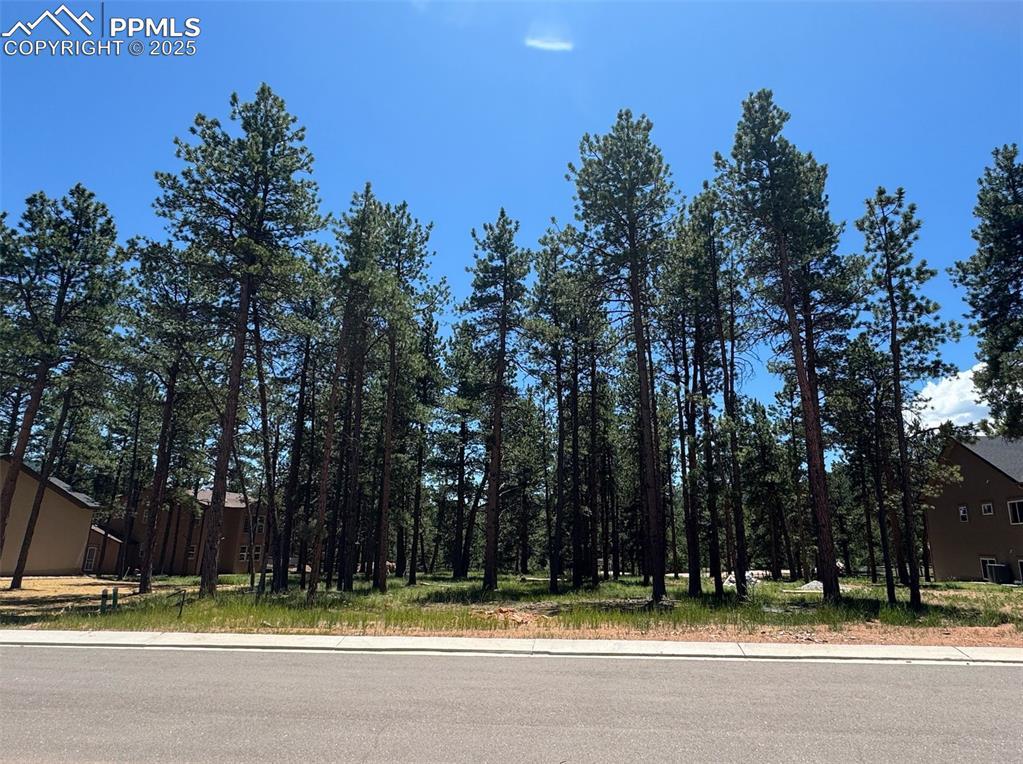 1287 Firestone Dr., Woodland Park, CO 80863