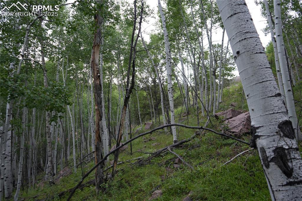 144 Goldfield Ct., Cripple Creek, CO 80813