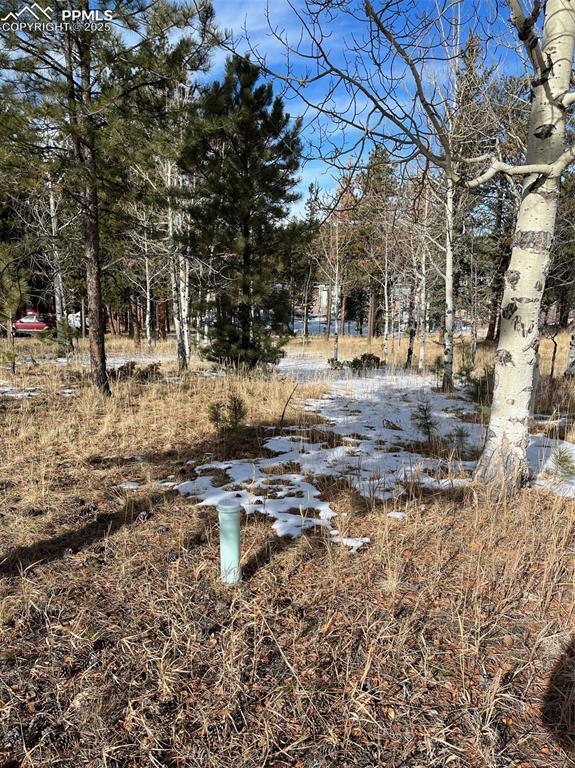 630 Pembrook Dr., Woodland Park, CO 80863