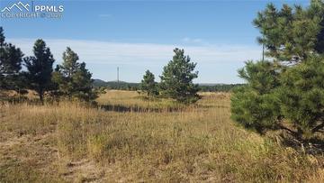 16935 Oldborough Heights, Monument, CO 80132