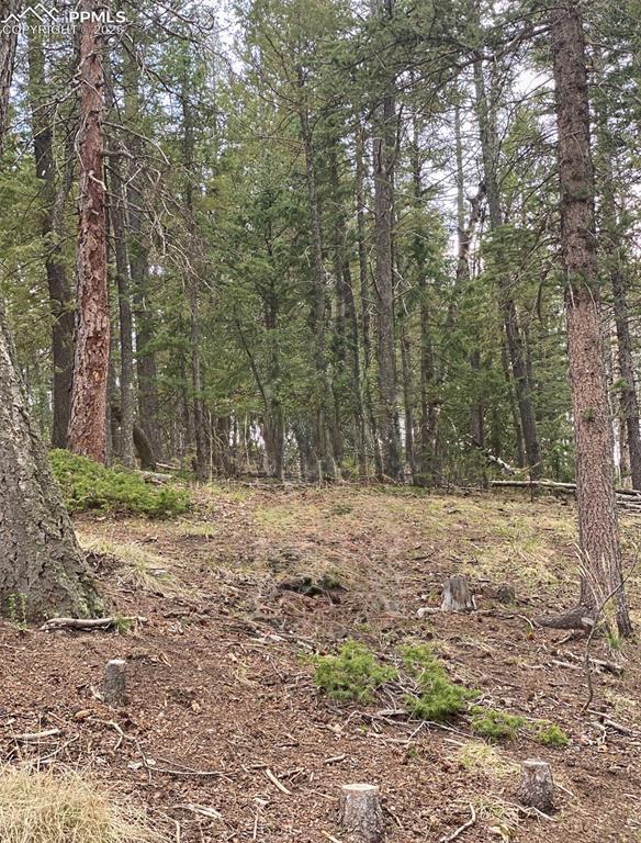 126 Glenwood Ln., Woodland Park, CO 80863