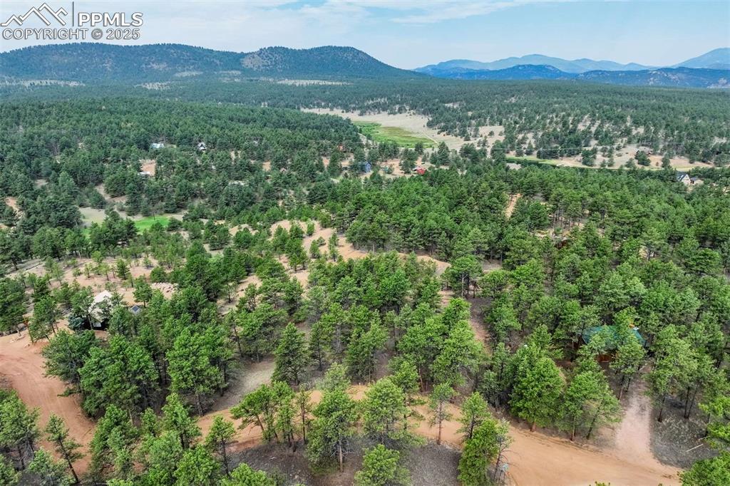 39 Reed Dr., Florissant, CO 80816