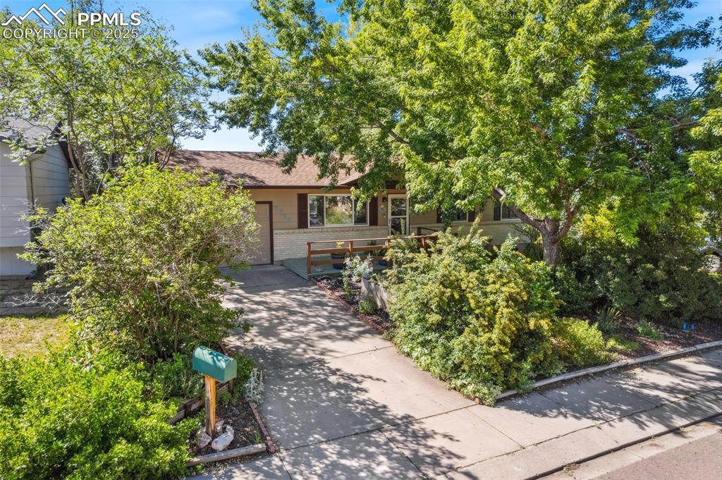3709 Anemone Cir., Colorado Springs, CO 80918