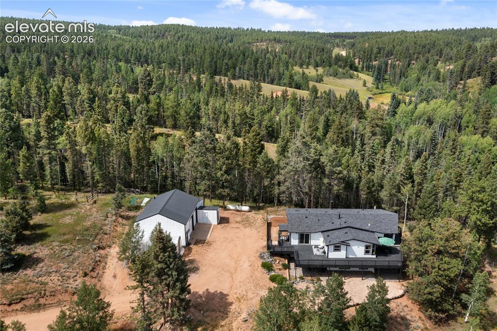403 Pioneer Creek Dr., Florissant, CO 80816