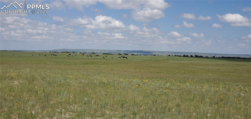 16625 Judge Orr Rd., Peyton, CO 80831