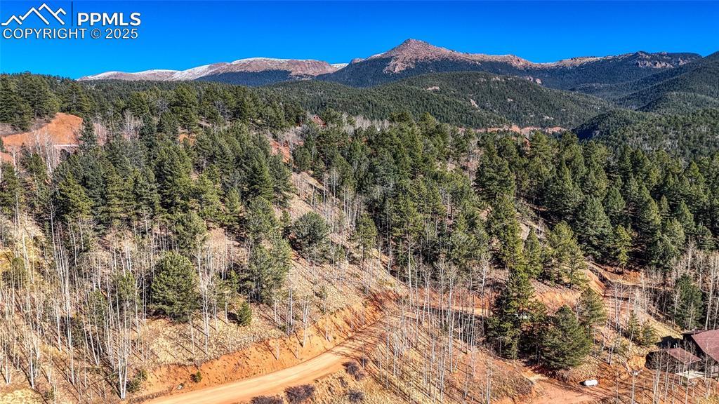 741 Pikes Peak Dr., Divide, CO 80814