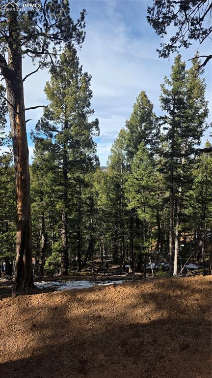 321 Tillicum Tr., Woodland Park, CO 80863