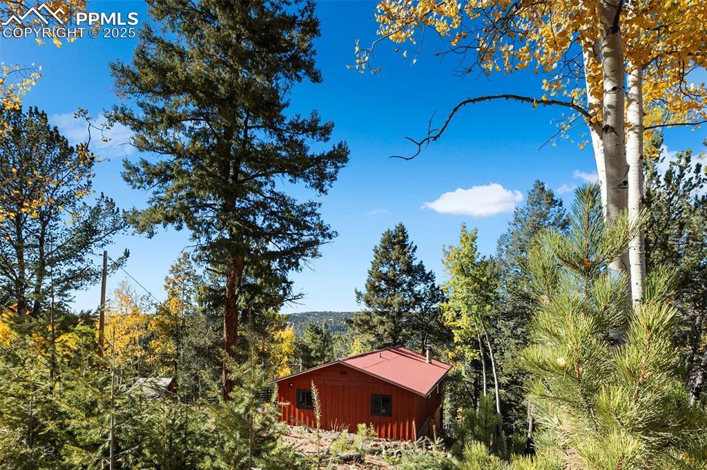 679 Calcite Dr., Divide, CO 80814