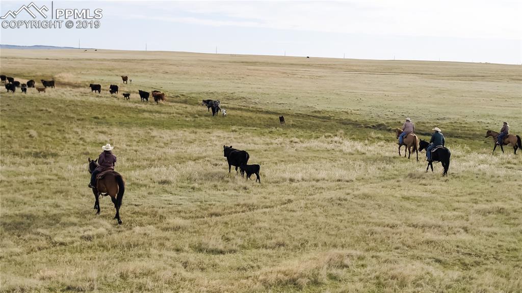 7020 Buckskin Ranch View, Peyton, CO 80831