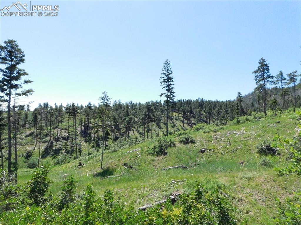 8249 Yuma Cir., Larkspur, CO 80118