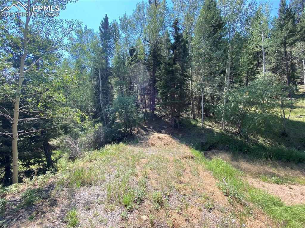 286 Coffee Pot Rd., Manitou Springs, CO 80829