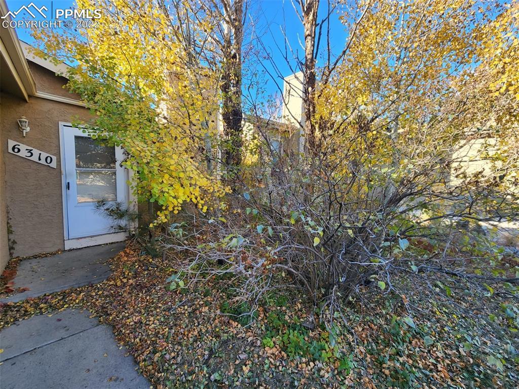 6310 Gunshot Pass Dr., Colorado Springs, CO 80917