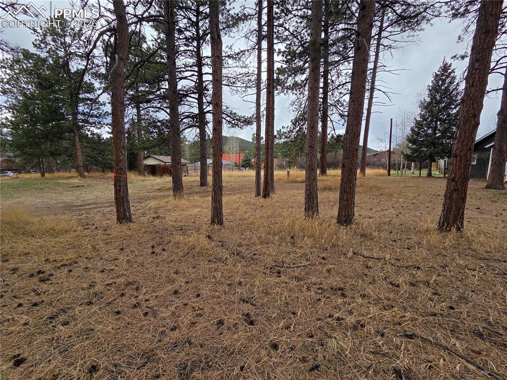 224 S Fairview St., Woodland Park, CO 80863