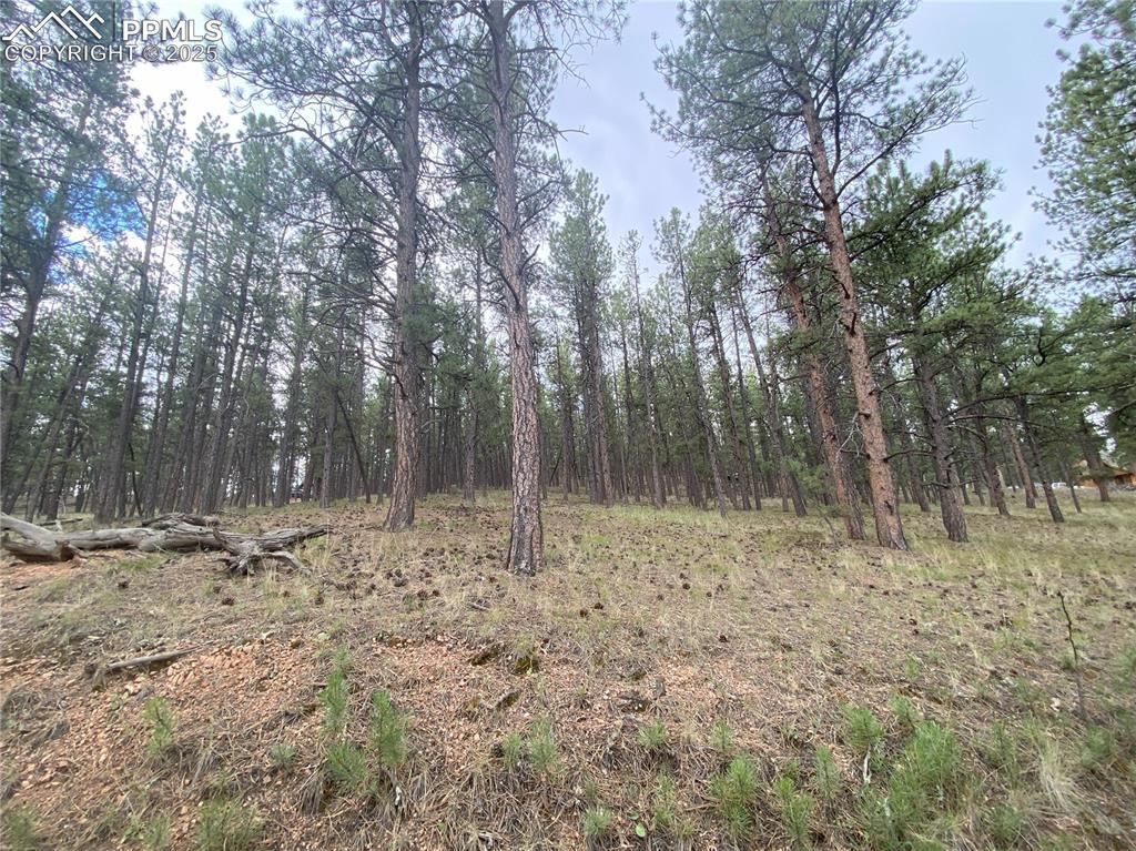 60 Pickens Rd., Florissant, CO 80816