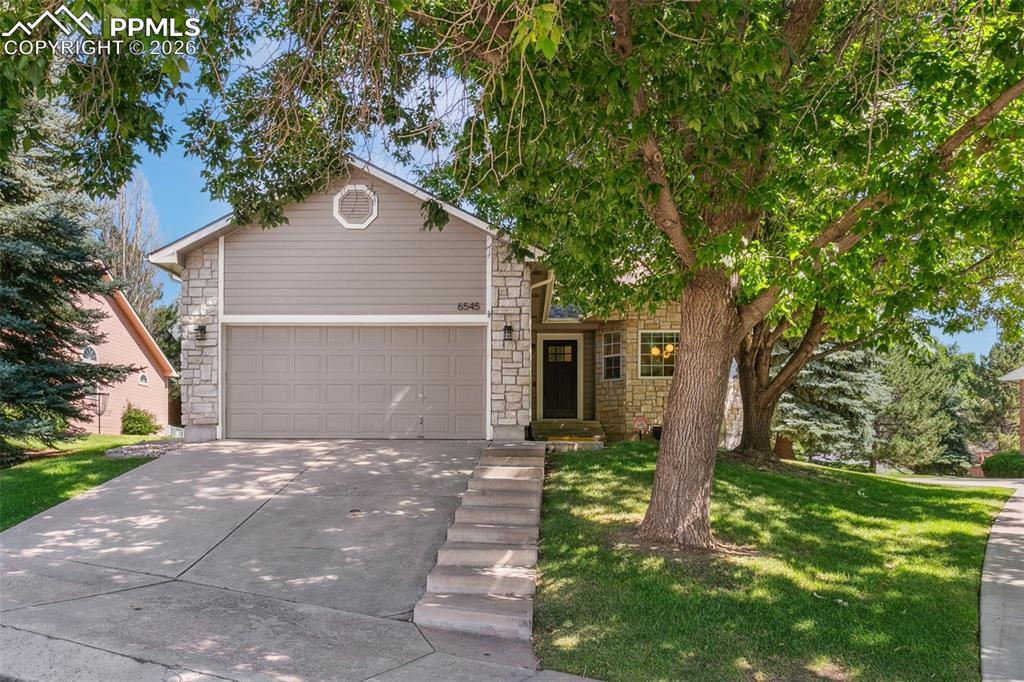 6545 Bonifas Ct., Colorado Springs, CO 80919