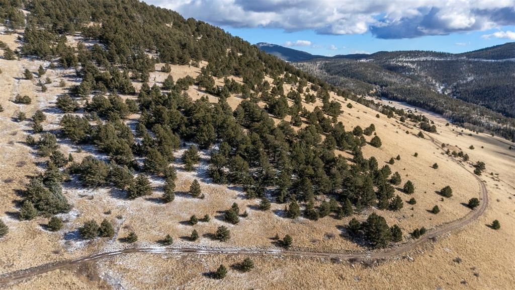 TBD Private Road, Cripple Creek, CO 80813