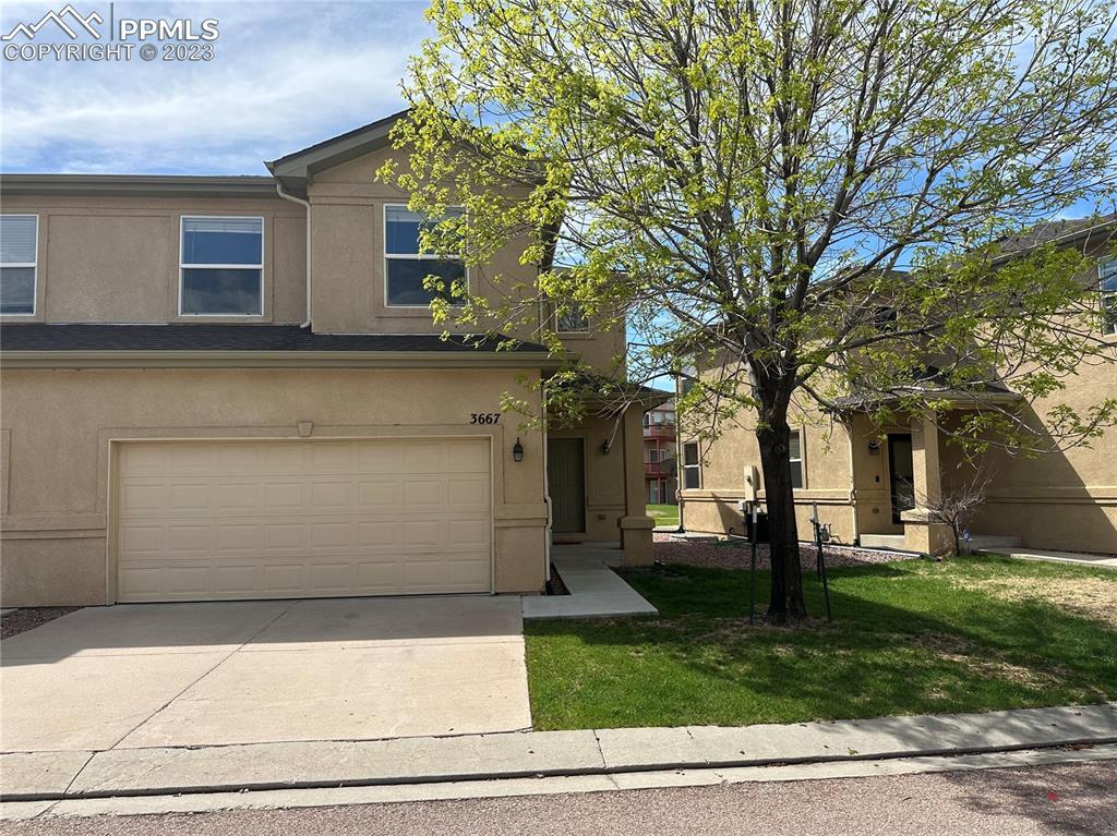 3667 Venice Grove, Colorado Springs, CO 80910