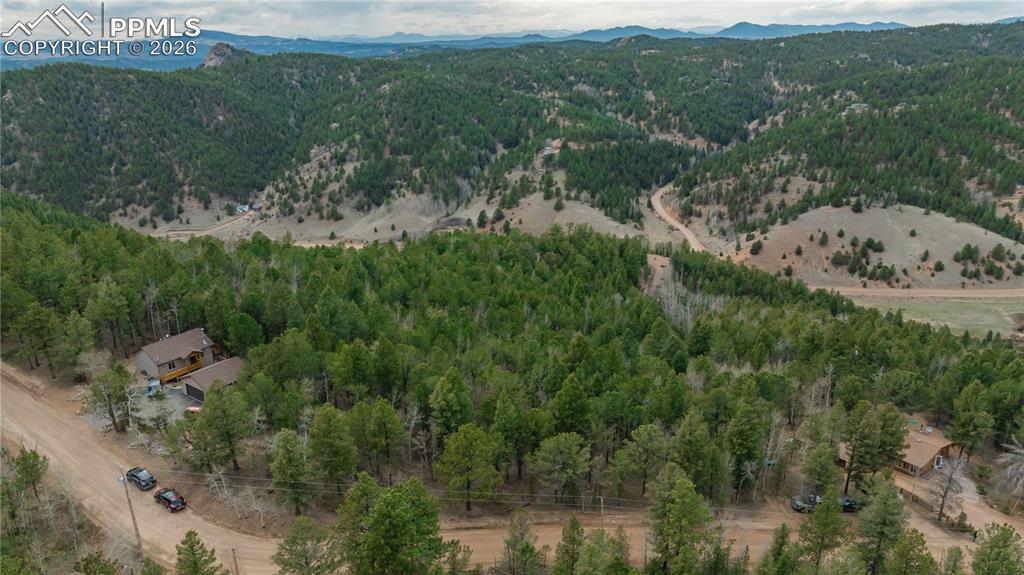 881 Timber Ridge Rd., Divide, CO 80814