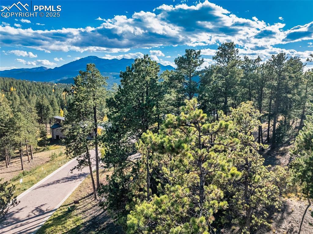 270 Thunder Ridge Dr., Woodland Park, CO 80863