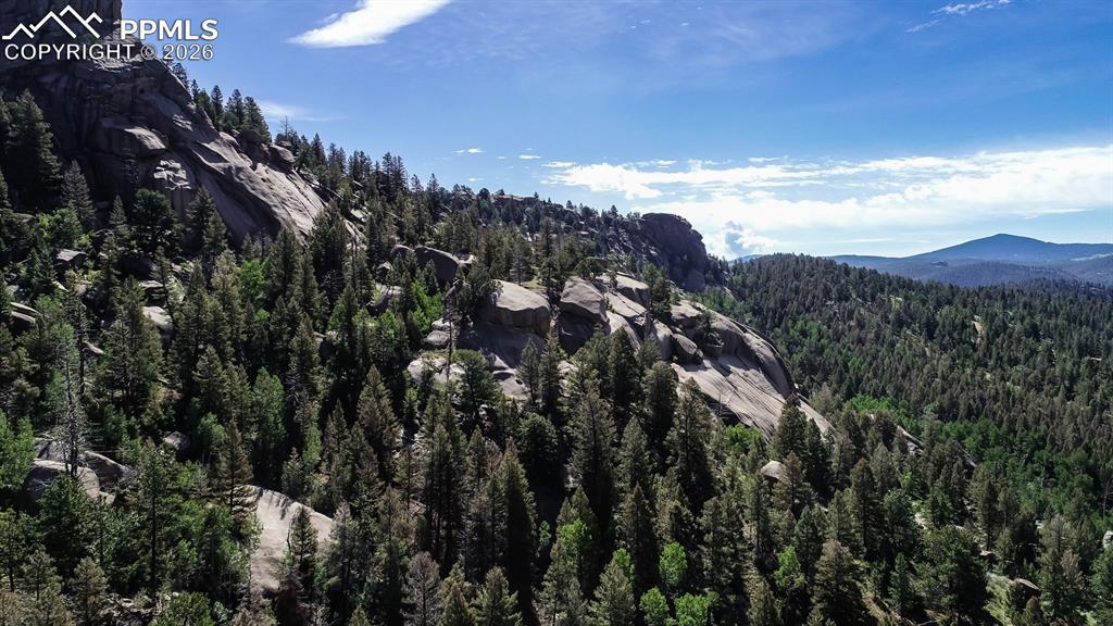 235 Hay Creek Rd., Florissant, CO 80816