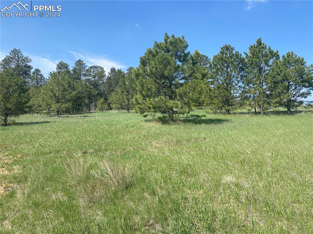 3930 Serenity Pl., Colorado Springs, CO 80908