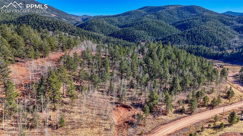 80 Beaver Pond Rd., Divide, CO 80814
