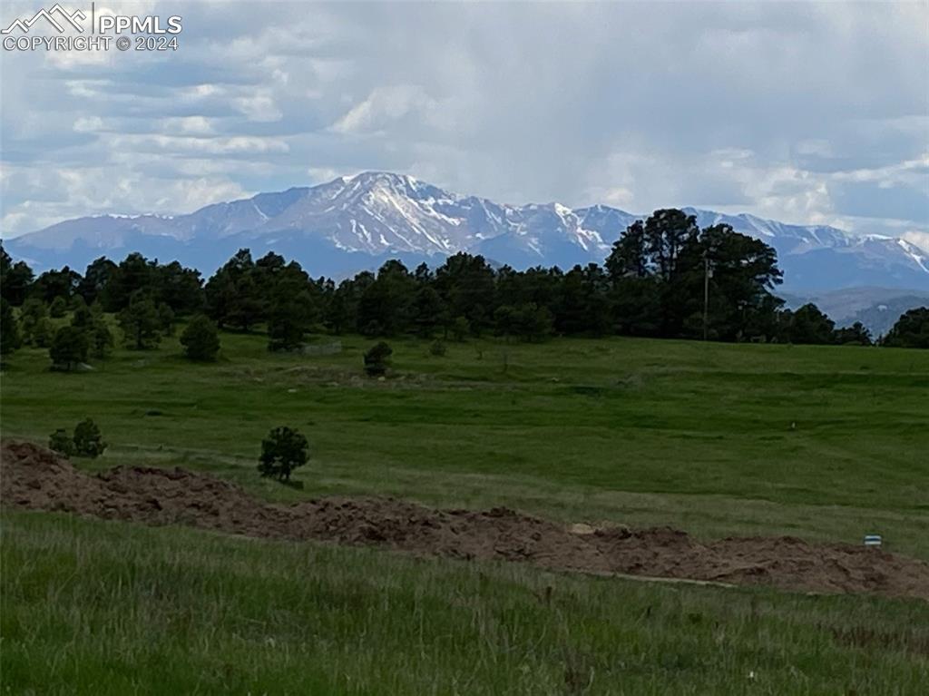 16395 Cherry Crossing Dr., Colorado Springs, CO 80921