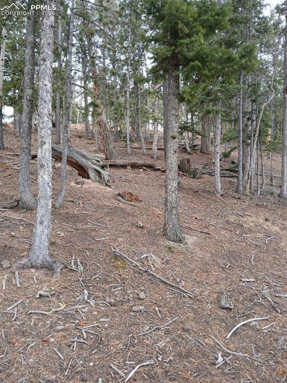 495 Wakanda Tr., Woodland Park, CO 80863