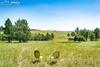 New Homes For Sale This Week in Kiowa: July 25th to July 31st
