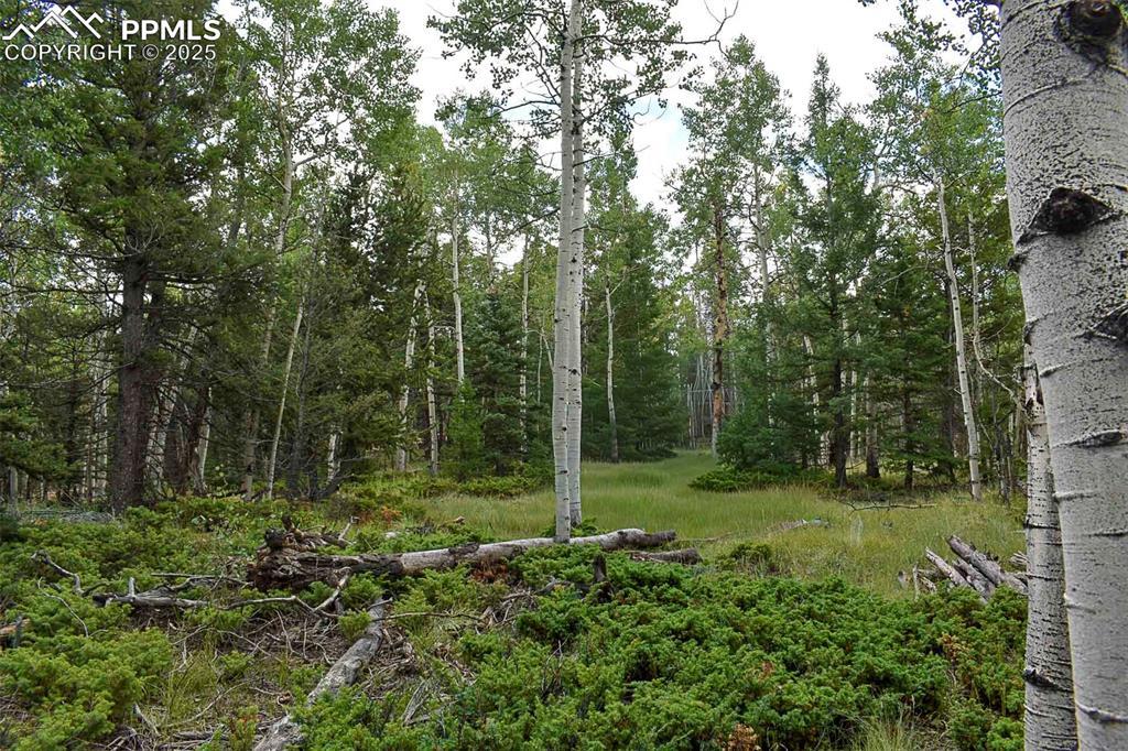 205 Timberline Dr., Guffey, CO 80820