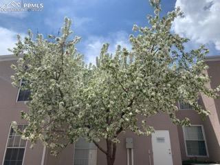 3445 Rebecca Ln. #H, Colorado Springs, CO 80917