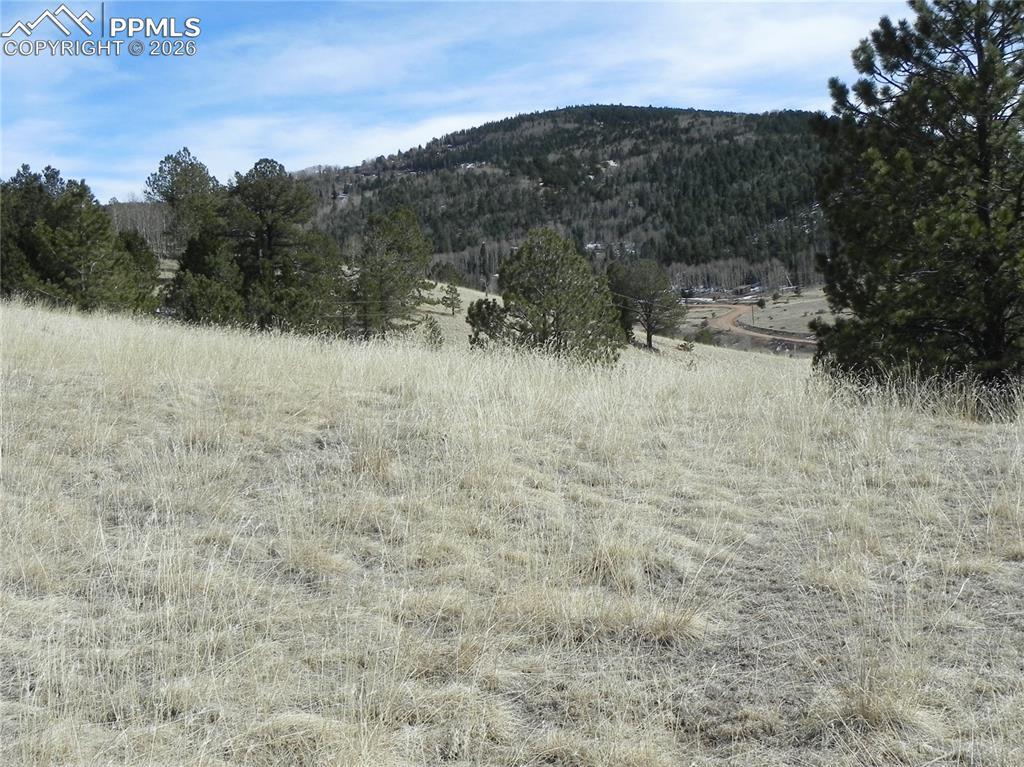 1087 Monarch Dr., Cripple Creek, CO 80813