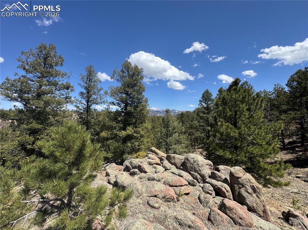 487 Pike View Ln., Florissant, CO 80816