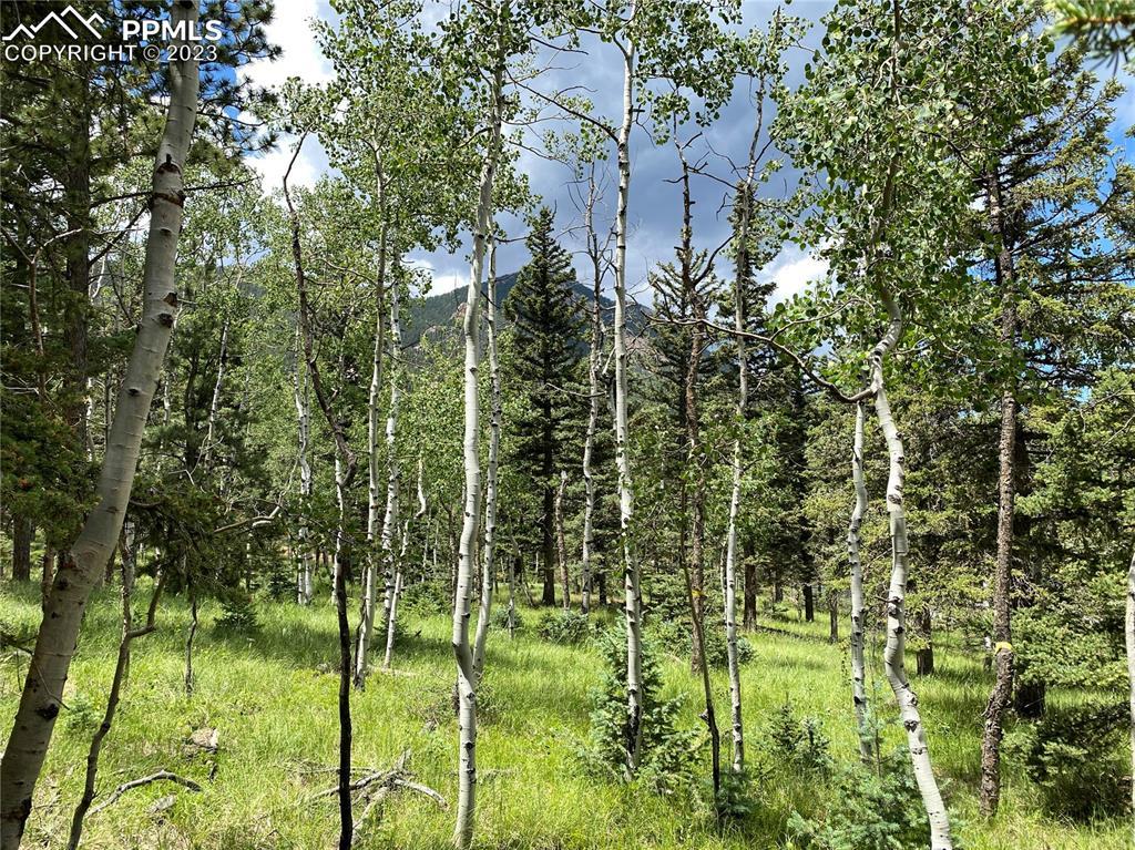 179 Summit Rd., Manitou Springs, CO 80829