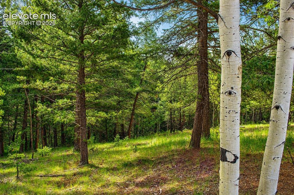123 Ellis Lake Cir., Divide, CO 80814