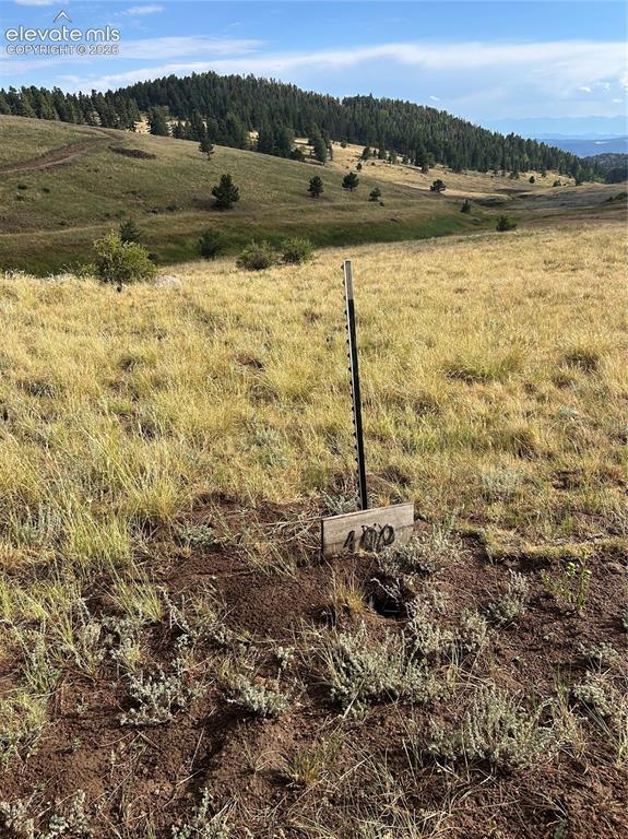 1100 Grumpy Burrow View, Cripple Creek, CO 80863