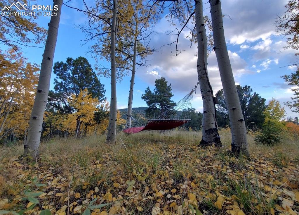 2724 Yorktown Rd., Cripple Creek, CO 80813