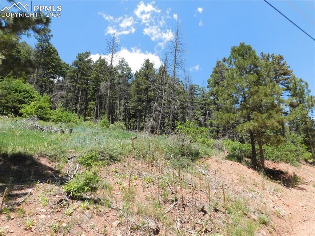Lot 11 Woodmoor West Dr., Larkspur, CO 80118