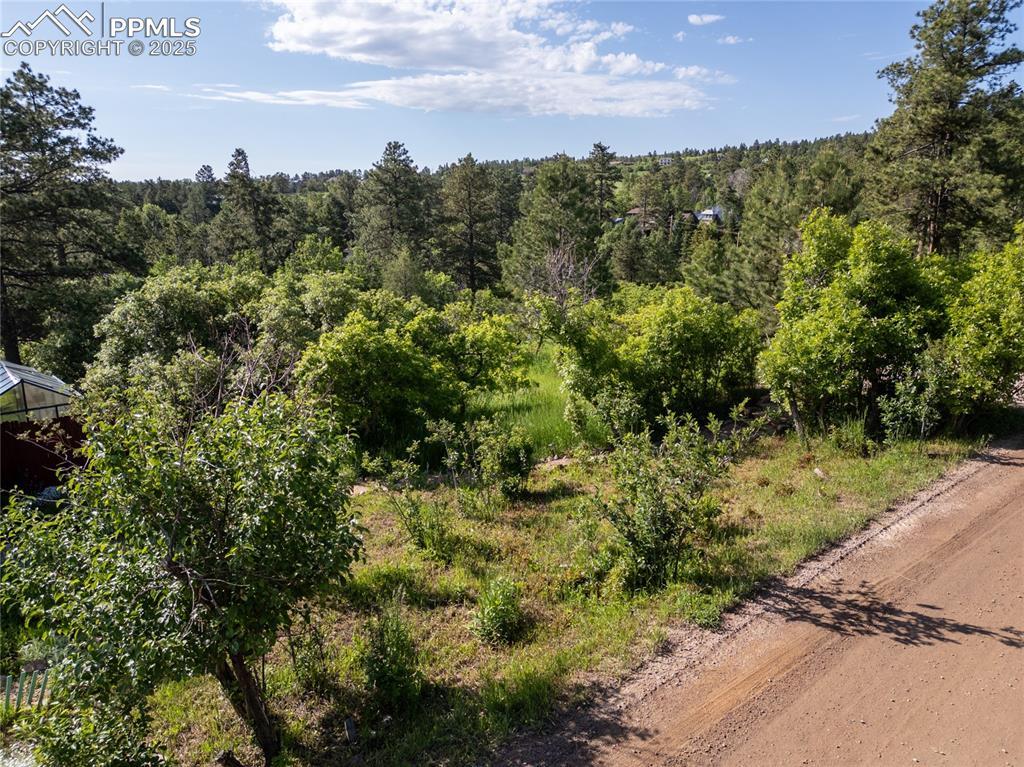 Buena Vista Ave., Palmer Lake, CO 80133