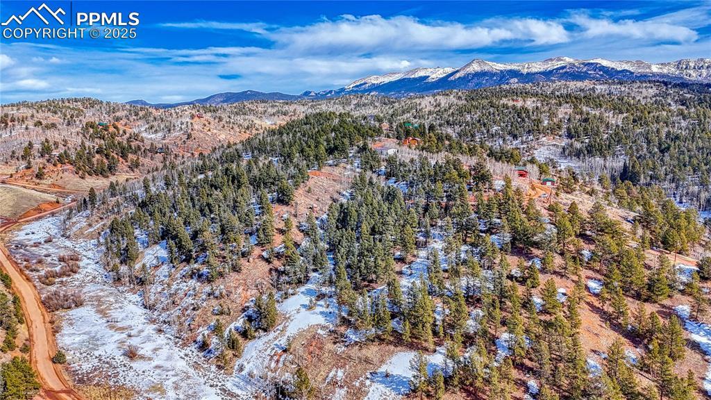 626 Little Topsey Dr., Cripple Creek, CO 80813