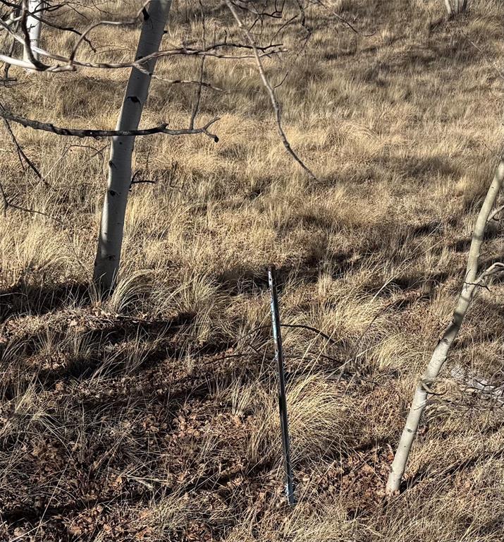 381 Remington Rd., Jefferson, CO 80456