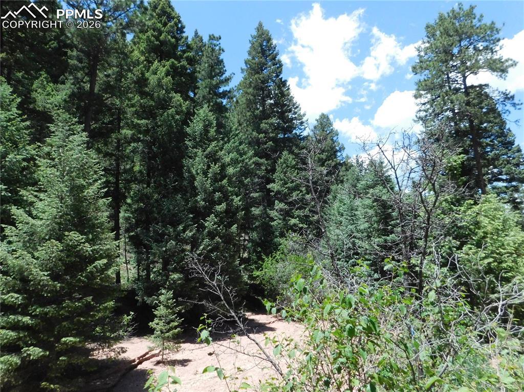 13175 Spruce Creek Cir., Larkspur, CO 80118