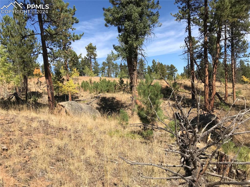 233 Overlook Cir., Woodland Park, CO 80135