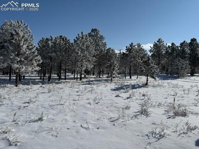 12196 Goodson Rd., Colorado Springs, CO 80908