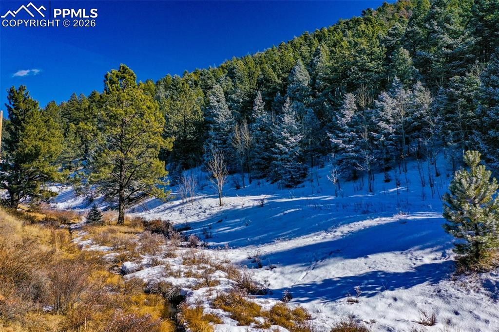278 Penrose Cir., Cripple Creek, CO 80813