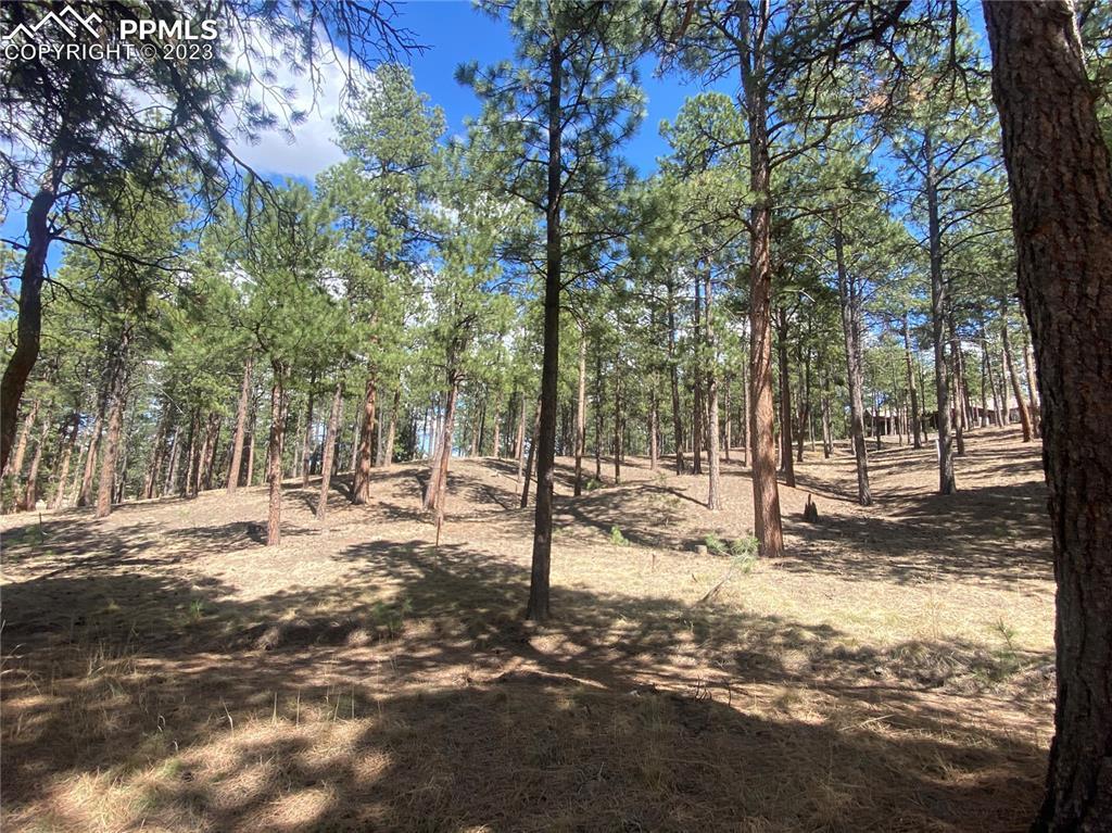 13795 Hildenshire Pl., Colorado Springs, CO 80908