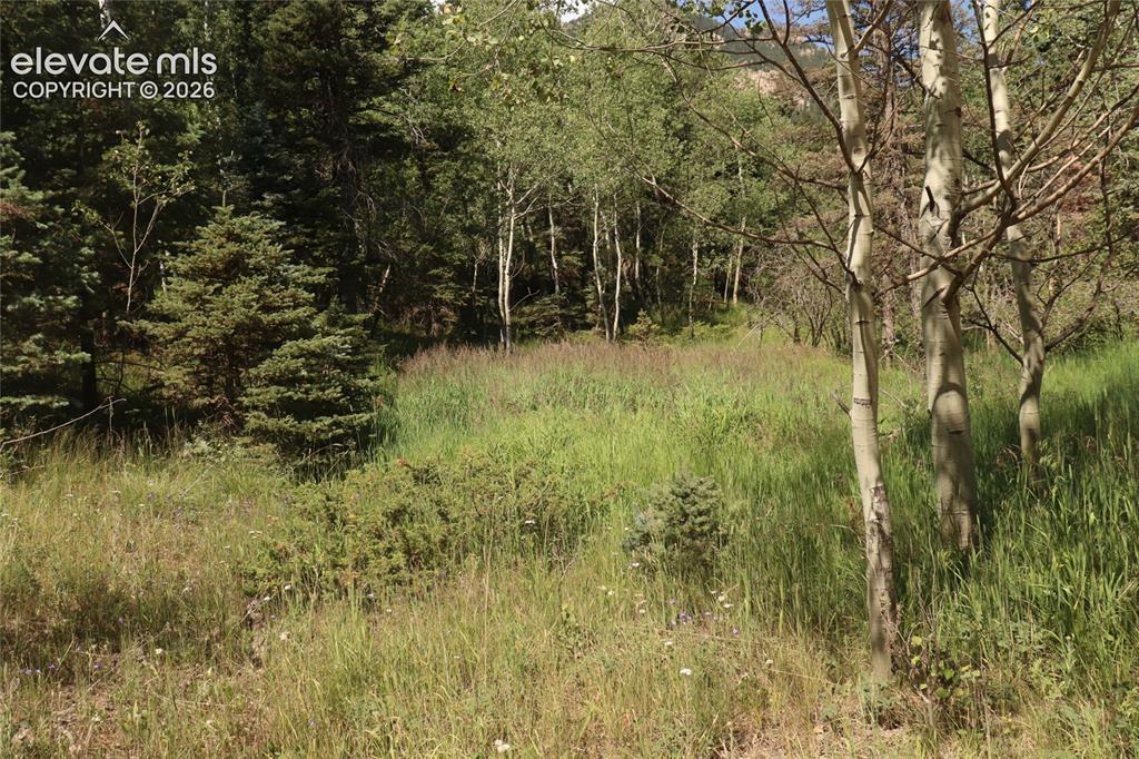 286 Coffee Rd., Manitou Springs, CO 80829